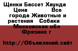 Щенки Бассет Хаунда  › Цена ­ 25 000 - Все города Животные и растения » Собаки   . Московская обл.,Фрязино г.